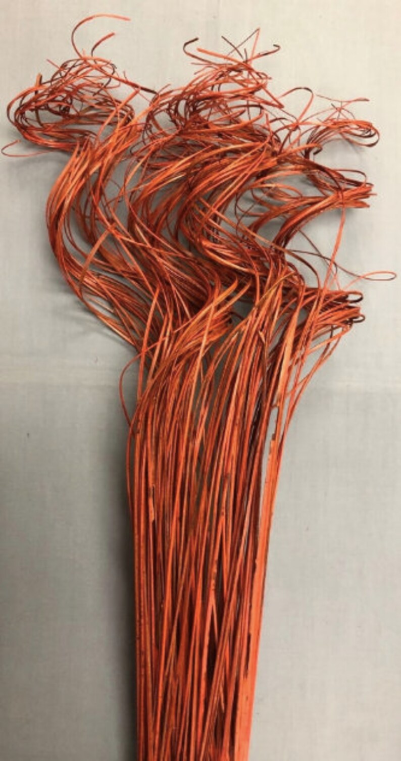 May include: A bunch of orange dried grass stems, twisted and curled, for use in floral arrangements or crafts.