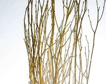 Gold Sparkly /Curly Twigs/Branches/Centerpiece decor/ Winter wonderland/Decoration Branches/Gold Branches/Glitter Branches/Silver Branches