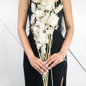 34&quot; Lunaria Silver Dollar Natural Florals/4oz/Table Setting/Home Decor/Faux Decor/Faux Decoration/Fall Season/Indoor Decor/Artificial Floral