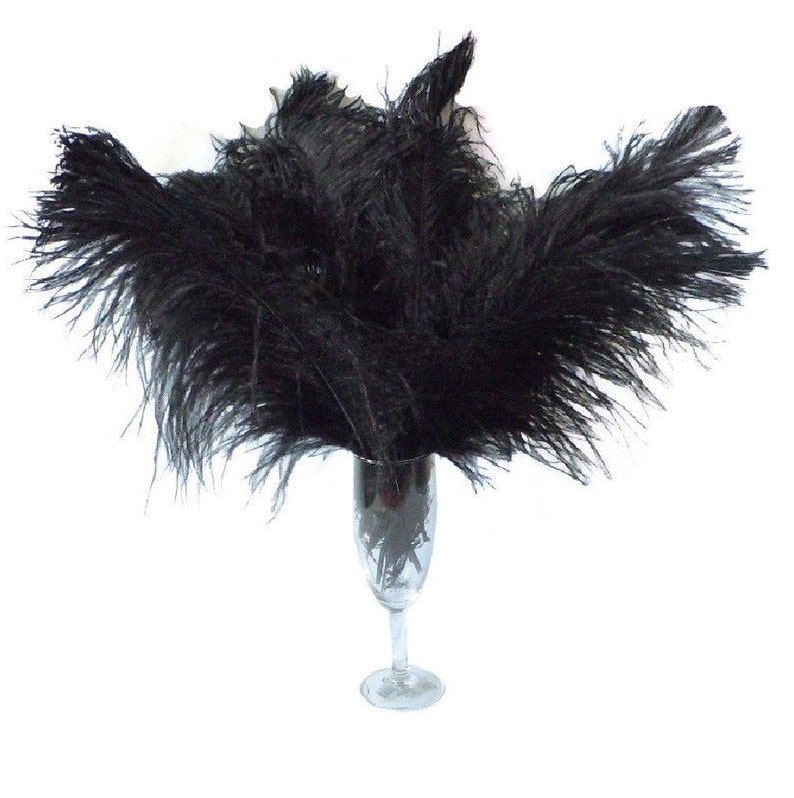 10 Pcs x 8-26 Black Ostrich Feather Plume for Centerpieces and Craft / Old Hollywood/Great Gatsby / Centerpiece Arrangements image 1