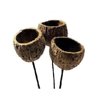 Ourico Pods on Sticks/Curly Twigs/Branches/Centerpiece decor/ Decoration Branches/Gold Branches/Glitter Branches/Silver Branches