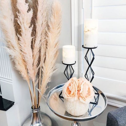 Light Pink/blush Pampas Grass/assorted Sizes/home Decor/rustic Etsy