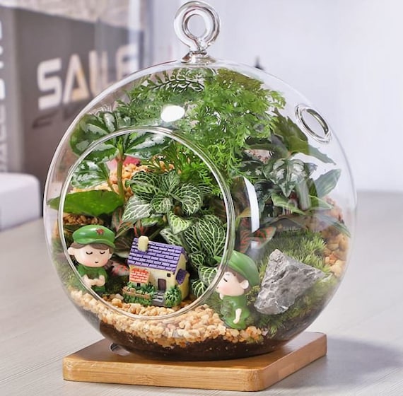 フラワー・ガーデニング Plants of Gods Terrarium Sculpture Crystal Pyramid Fairy Tale Terrarium Moss Art 10.2 Inch - Etsy