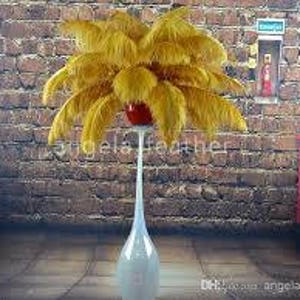 10 Pcs Yellow Gold Ostrich Feather Plume 14-16"/Feathers for weddings/ Events/Birthday parties/Plume Feathers/Milinery/Craft Feathers