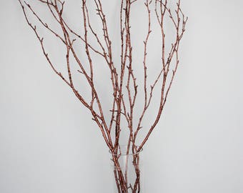 23 Inch Decorative Birch Branches for Indoor Decoration, Glittered Birch  Stems, Dried Birch Twigs for Party, Christmas Home Decor 