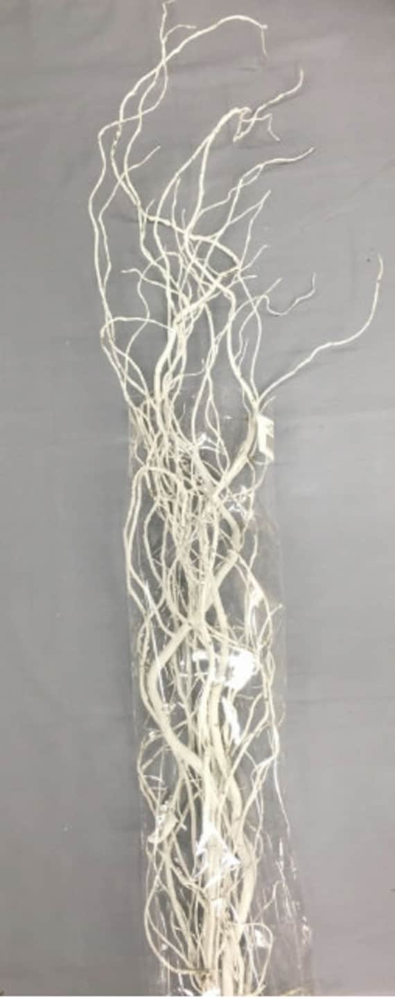 Rama blanca carmesí/Ramitas rizadas/Ramas/Decoración de centro de mesa/ Invierno/Ramas decorativas/Ramas/Ramas brillantes/Ramas plateadas - Etsy  México, image size:570x1438