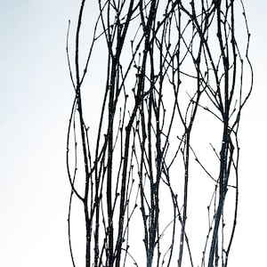 Black Sparkly /Curly Twigs/Branches/Centerpiece decor/ Winter wonderland/Decoration Branches/Gold Branches/Glitter Branches/Silver Branches