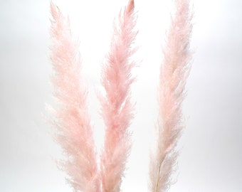55" Pink Pampas Grass/Pampas/Vibrant Pampas/Fluffy/Boho BlueHome Decor/Rustic Wedding/Brown Pampas
