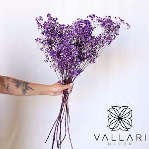 Gypsophilia viola essiccata/Baby Breaths/Autunno/Ringraziamento/Apparecchiatura da tavola/Decorazione per la casa/Decorazione finta/Decorazione/Stagione autunnale/Decorazione per interni/Sbiancato