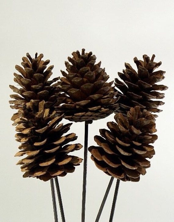 Easy Pinecone Table Decorations - Simple Nature Decor