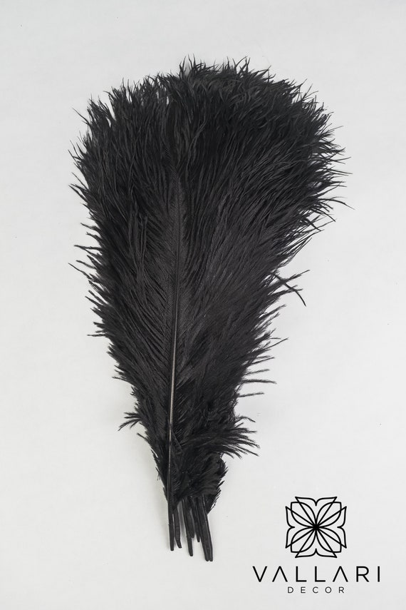 BLACK OSTRICH FEATHERS x 10 between 5" and 8" CRAFTS 