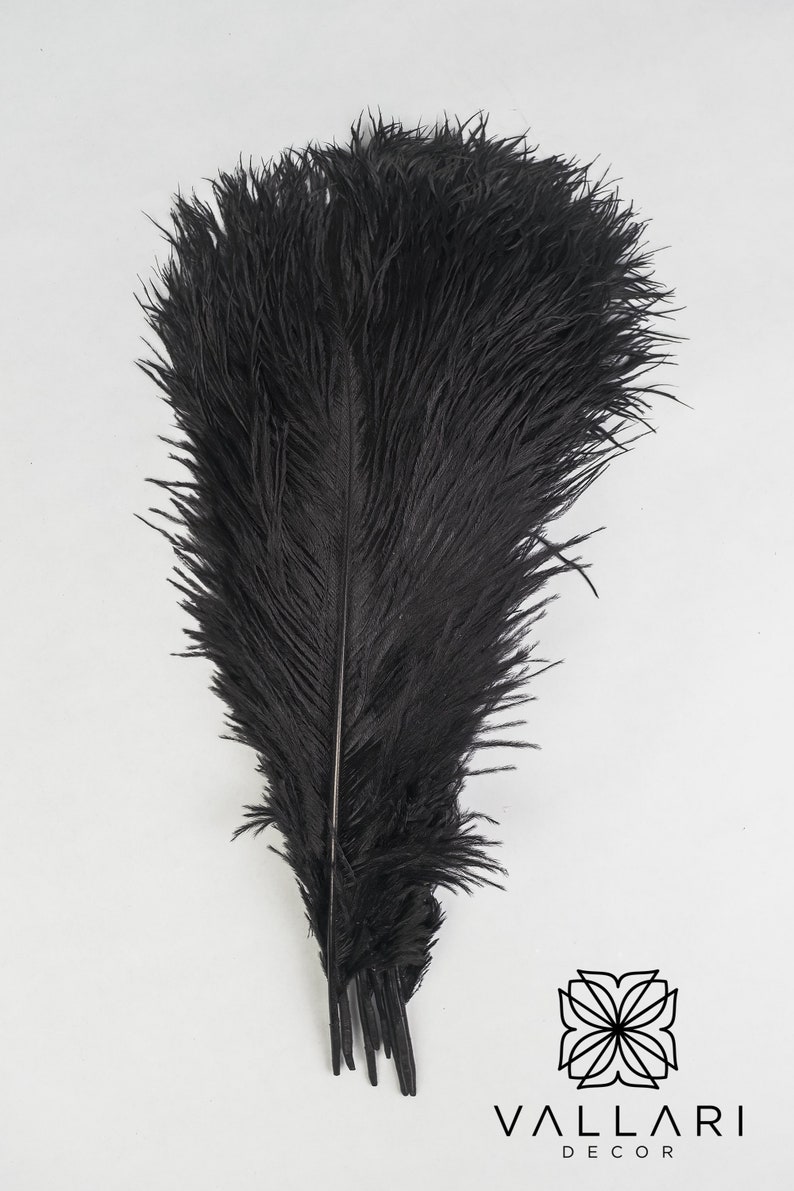 10 Pcs x 8-26 Black Ostrich Feather Plume for Centerpieces and Craft / Old Hollywood/Great Gatsby / Centerpiece Arrangements image 2