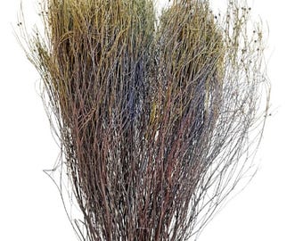 30" Natural Vassoura Grass/Assorted Sizes/Home Decor/Rustic Wedding Decor/ Brown Pampas/ Ivory Pampas/ Natural Pampas/