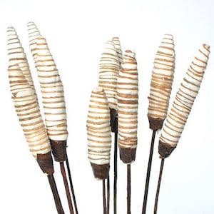 10PC Natural Sola Ring Cone/Cones/Pine Cones On Sticks/Rustic Decor Idea/Rustic Bowl Filler/Wicker Decoration/Rustic Table Decor