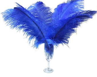 10 piezas de plumas de avestruz azules de 8-10", 10-12", 12-14", 14-16" (20-25 cm), 14-16"