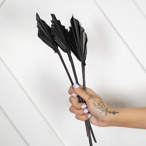 May include: Three black palm leaves are held in a hand with white nail polish. The leaves are folded in a fan shape and have a natural, dried look.