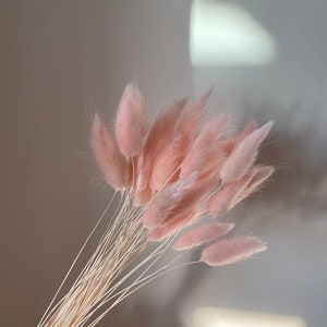 May include: A bunch of dried pink pampas grass with natural beige stems.