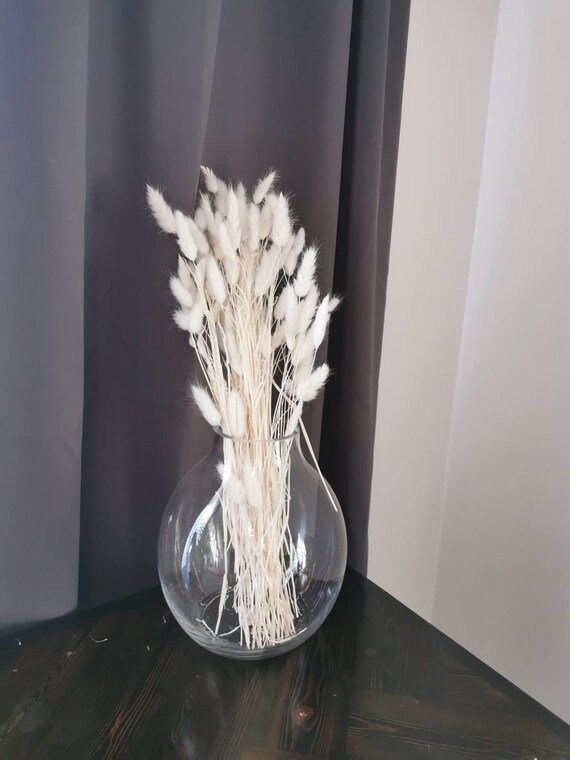 120 code di coniglietto naturali, bouquet di erba secca Lagurus Ovatus, bouquet di erba secca per composizioni floreali, bouquet da sposa bohémien (nero