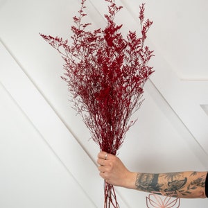 Red Preserved Caspia/Baby Breaths/Fall/Thanksgiving/Table Setting/Home Decor/Faux Decor/Decoration/Fall Season/Indoor Decor