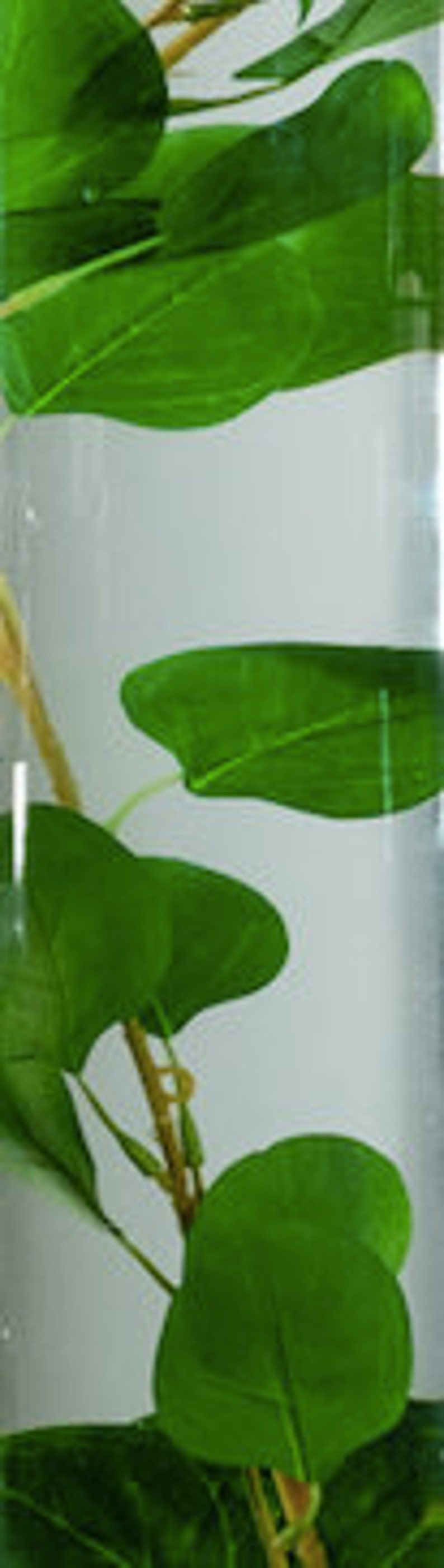 Submersible Green Tebery Stems Floral Wedding Centerpiece with Floating Candles and Acrylic Crystals Kit