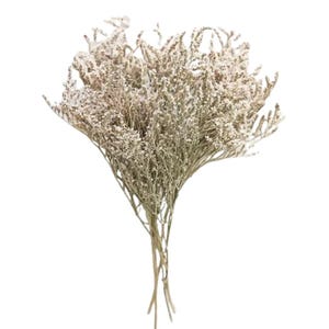 May include: A bundle of dried flowers with a natural, earthy aesthetic. The bouquet features delicate, light-colored blooms and slender stems, tied together at the base. The overall color palette is soft, with muted tones of beige and brown, creating a rustic and elegant look.