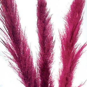 55&quot; 3 pcs Burgundy Super Pampas/Pampas/Vibrant Pampas/Fluffy/Boho BlueHome Decor/Rustic Wedding/Brown Pampas