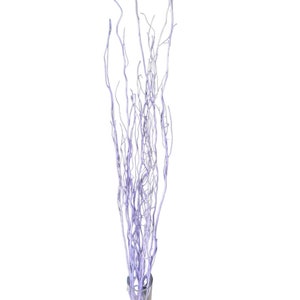 Lilac Willow Natural Branch/Curly Twigs/Branches/Centerpiece decor/ Winter/Decoration Branches/Branches/Glitter Branches/Silver Branches