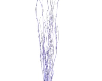 Lilac Willow Natural Branch/Curly Twigs/Branches/Centerpiece decor/ Winter/Decoration Branches/Branches/Glitter Branches/Silver Branches