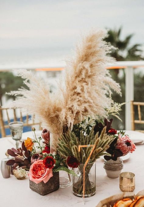 pampas grass