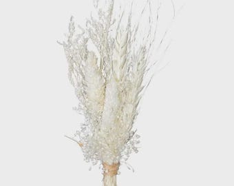 Getrockneter Blumenstrauß / weißes CORSAGE Bouquet / Schilf / getrocknete Pampas / Pampas Blumenstrauß Dekor / Boho Pampas / Boho Blumenstrauß / Blumen / Ruscus / Bräutigam