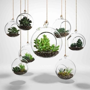 Yaomiao 3 Pcs Stained Glass Hanging Plant Terrariums Hanging Glass Planter  Small Geometric Terrarium Air Plant Terrarium with Chain for Succulent Moss