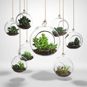 3" - 6" Round Bulb Terrarium, Geometric Glass Terrarium, Modern Planter, Wedding Centerpiece, Air Plant Terrarium, Succulent Planter