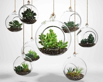 3" - 6" Round Bulb Terrarium, Geometric Glass Terrarium, Modern Planter, Wedding Centerpiece, Air Plant Terrarium, Succulent Planter