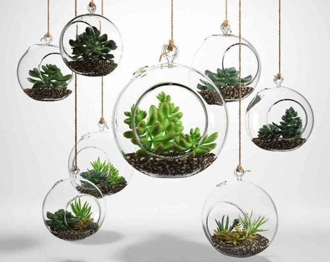 3" - 6" Round Bulb Terrarium, Geometric Glass Terrarium, Modern Planter, Wedding Centerpiece, Air Plant Terrarium, Succulent Planter
