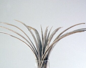 May include: A bunch of dried, light brown grass stems arranged in a vase. The stems are thin and have a slightly rough texture.