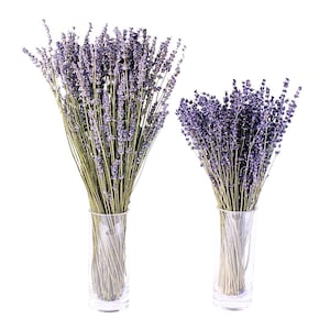 DRIED Lavender Floral Bouquet/25&quot;/Dried Floral Bouquet/Reed/Dried Pampas/Boho Pampas/Boho Bouquet/Floral/Bunny tail