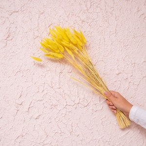 50 piezas de colas de conejo amarillas/Decoración del hogar/Decoración rústica para bodas/Cola de conejo seca/Pampas de color marfil/Pampas naturales/Pampas de 2,5 pies de largo