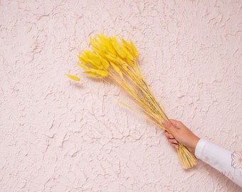 50 Stück gelbe Bunnytails/ Wohndekor/ rustikale Hochzeitsdeko/getrocknete Bunny Tail/ Ivory Pampas/ natürliche Pampas/ 2.5 ft Long Pampas