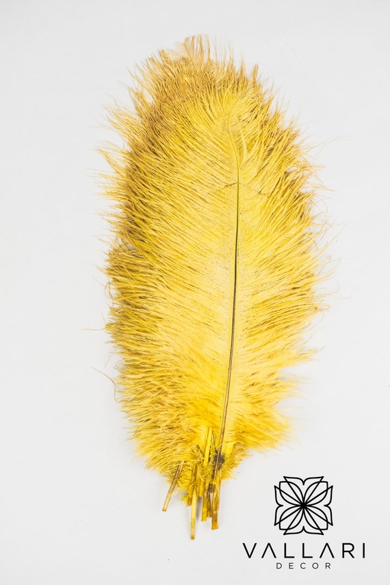 100 Pcs 816 Wholesale Beautiful Ostrich Feathers for Centerpieces