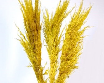 30" Yellow Feather Pampas Grass/Pampas/Vibrant Pampas/Fluffy/Boho BlueHome Decor/Rustic Wedding/Brown Pampas