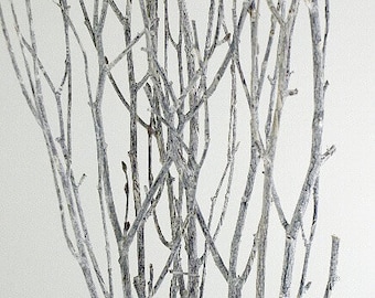 May include: A collection of slender, gray-toned branches with a frosted appearance. The branches are arranged closely together, creating a textured, natural aesthetic. The background is a plain white, highlighting the intricate details of the branches.