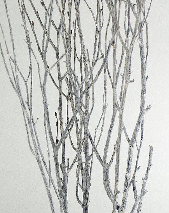 30 White Deco Twigs/curly Twigs/branches/centerpiece Etsy