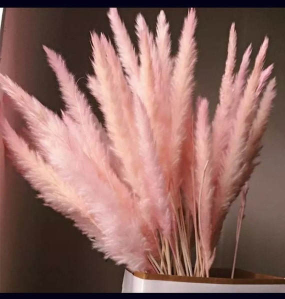 Faux Pampas Grass - 6 Stems - 48 Long - Soft Pink
