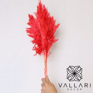 6PC 30&quot; Red Pampas Grass/Bundle/Home/Rustic Wedding Decor/Brown Pampas/Ivory Pampas/Natural Pampas/2.5ft Long Pampas