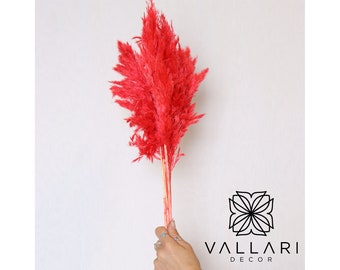6PC 30" Red Pampas Grass/Bundle/Home/Rustic Wedding Decor/Brown Pampas/Ivory Pampas/Natural Pampas/2.5ft Long Pampas