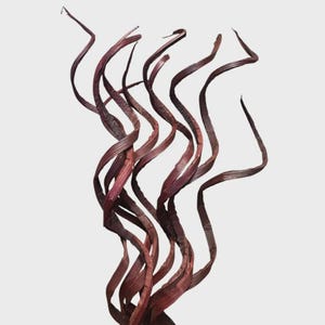 28&quot; -10pc BROWN Curly Coco Twigs/Branches/Centerpiece decor/Winter wonderland/Decoration Branches/Gold Branch/Glitter Branch/Silver Branch