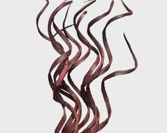 28" -10pc BROWN Curly Coco Twigs/Branches/Centerpiece decor/Winter wonderland/Decoration Branches/Gold Branch/Glitter Branch/Silver Branch