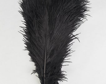  100 Pcs. Black Ostrich Feathers 13-18 Long Deluxe Ostrich  Plumes : Exotic Feathers White Princess Collection: Arts, Crafts & Sewing