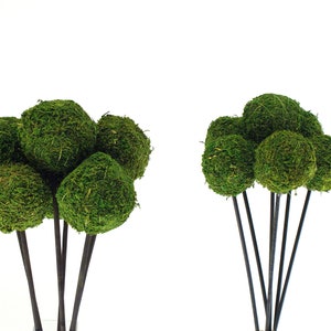 May include: Two bunches of artificial moss balls on black stems. Each bunch has five moss balls in shades of green.