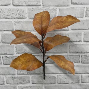 May include: A decorative botanical stem featuring several large, dried magnolia leaves in shades of warm brown and tan. The leaves are attached to a central dark brown woody branch, displaying visible veins and a smooth, matte texture throughout.